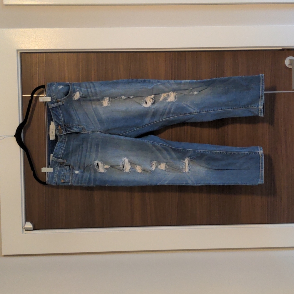 Torrid Distressed Denim (Size 14)